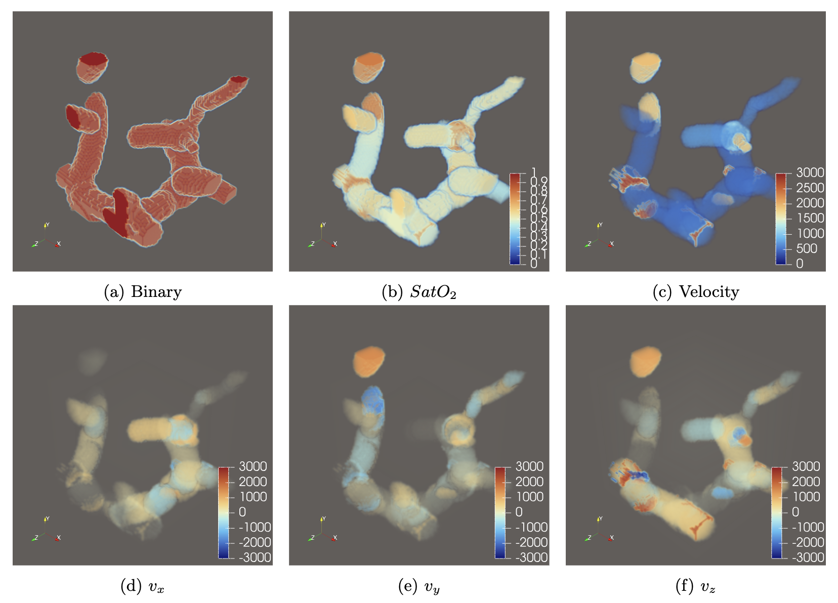 Brain Imaging and Connectivity